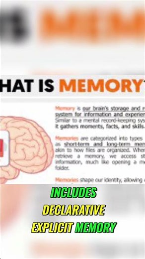 Boost Your Brain Long Term Memory Explained Simply #higherconsciousness #facts