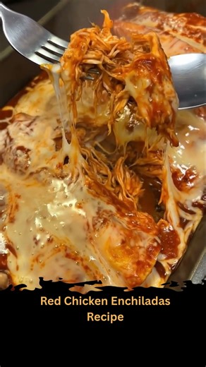 Red Chicken Enchiladas