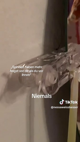 #viral #fy #fürdich #spider #phobia | spiders