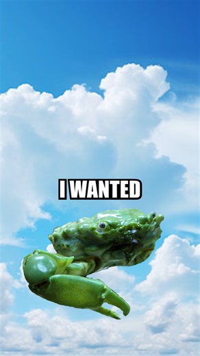 812K views · 7.7K reactions | Marine crabs are vital to the health...