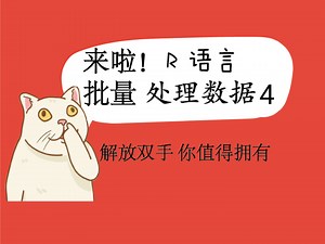 批量数据处理 | R语言版，你值得拥有(四)