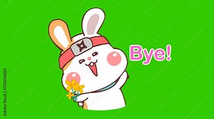Good bye animation, rabbit ninja on green screen