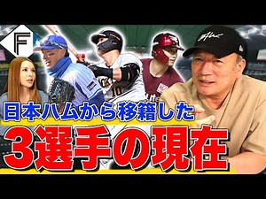 【性格に影響する⁉︎】高木だから語れる「中田翔」「西川遥輝」「大田泰示」の今シーズンの活躍について語ります！【プロ野球】
