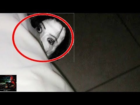 7 Ayuwoki Captados En Cámara y Vistos En La Vida Real