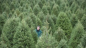 As Amazon delivers Christmas trees, NJ farms continue choose-and-cut tradition