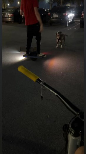 79M views · 2.5M reactions | #dogtraining #dog #pitbull #onewheel #fyp #dogloversfeed | Yannick Taviere | Facebook
