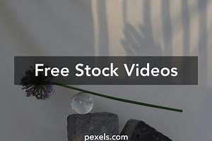 White Balance Videos, Download The BEST Free 4k Stock Video Footage & White Balance HD Video Clips