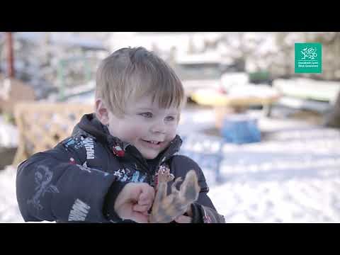 Foundation learning and Curriculum for Wales video explainer