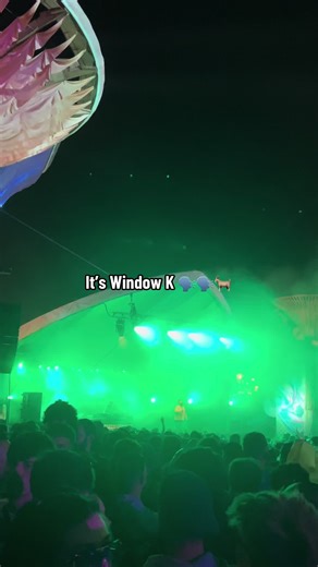 Meet Window K: The Dog You Need to Know