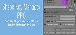 Addon: Shape Key Manager Pro [$]