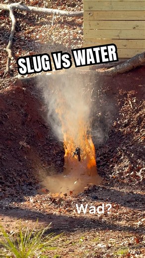 What Happens When a Slug Hits Water… 👀