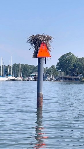 Do you know what the signs and water markings mean when boating? Check our story for more safety information on #buoys and #waterways ! #watersafety #safeboating #boatsafety #didyouknowfacts #boatersafety | Take Me Fishing