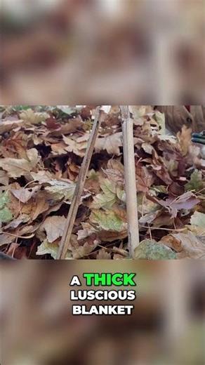 Fall Garlic Planting: The Secret to BIGGER Harvests Revealed!