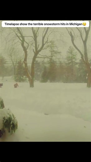 Timelapse show the terrible snowstorm hits in Michigan # #disaster #flood #tornado #hurricane #earthquake #tsunami