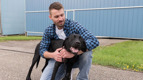 Meet the organizations that helped Lady and her puppies fly from Northern Ontario to Toronto