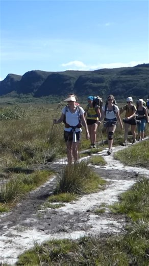 Acroyoga Events & Adventure Retreats on Instagram: "Last week to register to this incredible Nature, Movement & Adventure trip in Bahía-Brasil, 10 days of joy in this unique place with a group of very cool and beautiful humans. From 16th to 25th January 2026 Join us and cellebrate the new year and life starting with a special and authentic adventure. Yoga-Hiking-Breathwork-Capoeira-Climbing-Music-Thai Massage, Acroyoga jams and a life changing experience! Join @caruacro @wiseadventurestravel & @