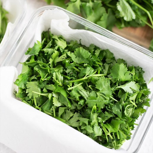 35K views · 118 reactions | Cilantro is a vibrant green, citrusy-flavored herb essential in Indian cooking and other cuisines. The leaves are a perfect garnish to your favorite rich and spicy dishes, and the stems work beautifully in chutneys. Learn how to store cilantro and care for this key ingredient! https://pipingpotcurry.com/cilantro-how-to-store-use/ | Piping Pot Curry | Facebook