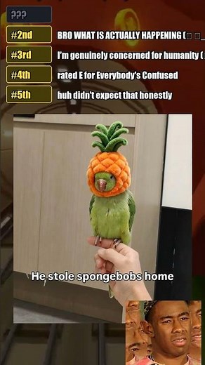 Ranking Funny Animal Memes (pt.1) #funny #fyp #memes #viral #trending