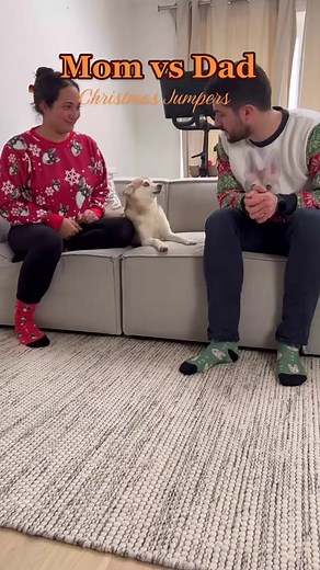 28K views · 587 reactions | Skye Xmas Jumper Vs Copper Xmas Jumper   | Life With Klee Kai | Facebook