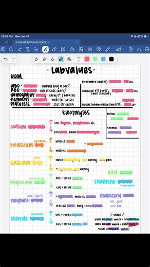 my nursing lab value cheat sheet 🩺 | Nurse Cheat Sheets
