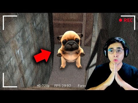 PIBBLE ESTA PERDIDO EN MI SOTANO... - Garry's Mod