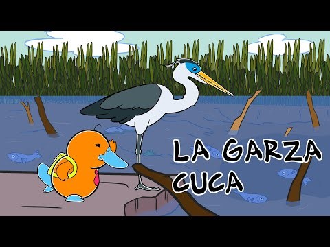 Hola Flinko - Garza Cuca / Capítulo 24 Completo Temporada 1