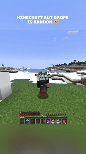 Random Drops in Minecraft: A Fun Modded Experience