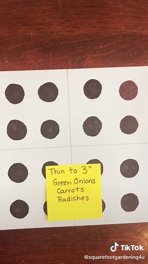 SquareFootGardening4U on TikTok