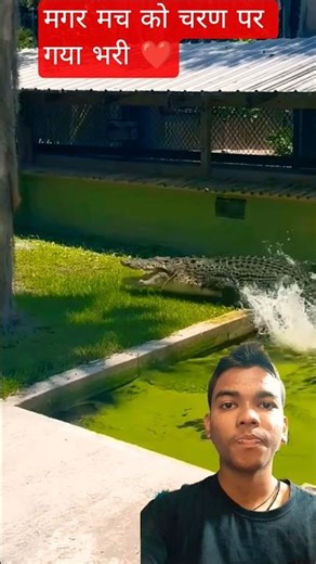 Discover the Latest Smart Appliances & Gadgets for 2025! 🔧 #shorts #gadgets 🎉