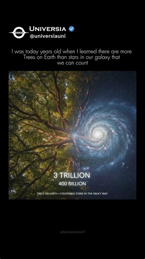More Trees Than Stars? The Math is Real! 🌳✨