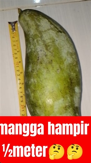 mangga ½meter ?? #ceramahsingkat #ustadzadihidayat