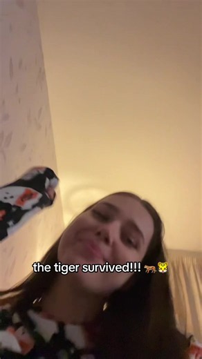 Tiger Survives at Yorkshire Wildlife Park: A Happy Ending! 🐅