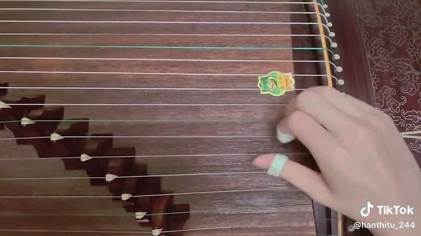 Spider Thread Monopoly on Guzheng - A Musical Journey