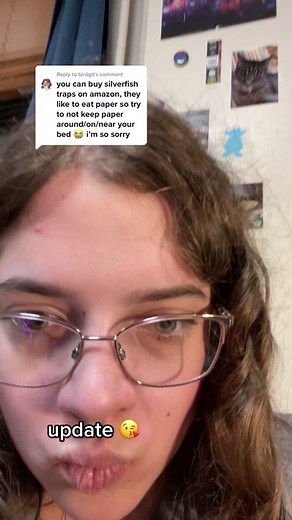 Silverfish Extermination Update