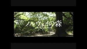 【MAD】ノルウェイの森×GLAY「冬の遊歩道」