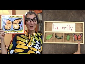 Monarch Butterfly | Life Cycle | Preschool | Read Aloud | Story