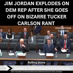 166K views · 6.9K reactions | What is this lady even talking about?!? Thank you Jim Jordan for calling out the crazy! | Freedom From The Press | Facebook