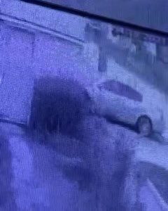 Hit and run incident near Van Born & Beech Daly in Dearborn Heights. The incident occurred at 11:50 am yesterday morning. Anyone with information is asked to call Dearborn Heights Police Non-emergency Main Phone: 313.277.6770 | TCD Dearborn News