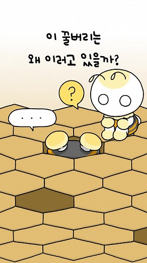 귀여운 꿀벌 일러스트 - 허니인비 애니메이션
