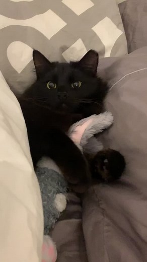 Baby Olive y sus pequeños dientes de leche