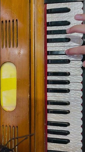 Dam Mast Qalandar on Harmonium | Nusrat Fateh Ali Khan Qawwali Notes & Speed Performance”#Harmonium