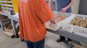 Buff Orpingtons by Cackle Hatchery. #cacklehatchery #hatchingeggs | Cackle Hatchery