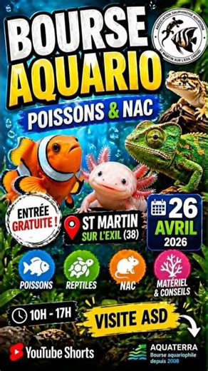 “Le poisson le plus fou de la bourse 😳”