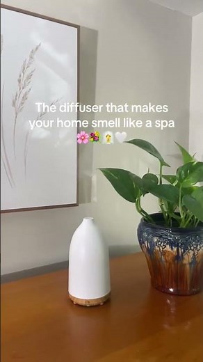 This Diffuser That Makes Your Home Smell Like a Spa | Sienna Diffuser