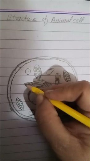 Animal cell/easy diagram and quick learning