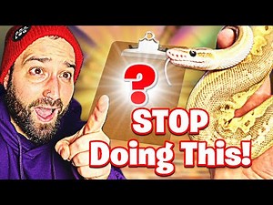 Ball Python Care Guide 2026 | Complete Beginner Setup & Care Tips!