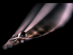 CREATIVE PHOTOGRAPHY TIPS TUTORIAL - A Slice Of Life