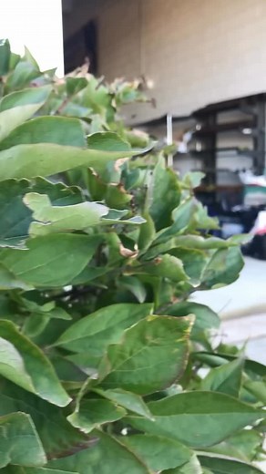 40K views · 1.2K reactions | Road Rage Via @center.scene / @roadstershop | MuscleKingz | Facebook