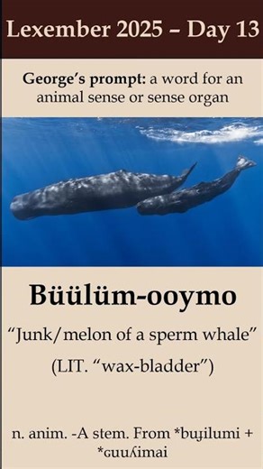 Lexember Day 13 - An Animal Sense or Sense Organ