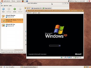 How computer viruses work